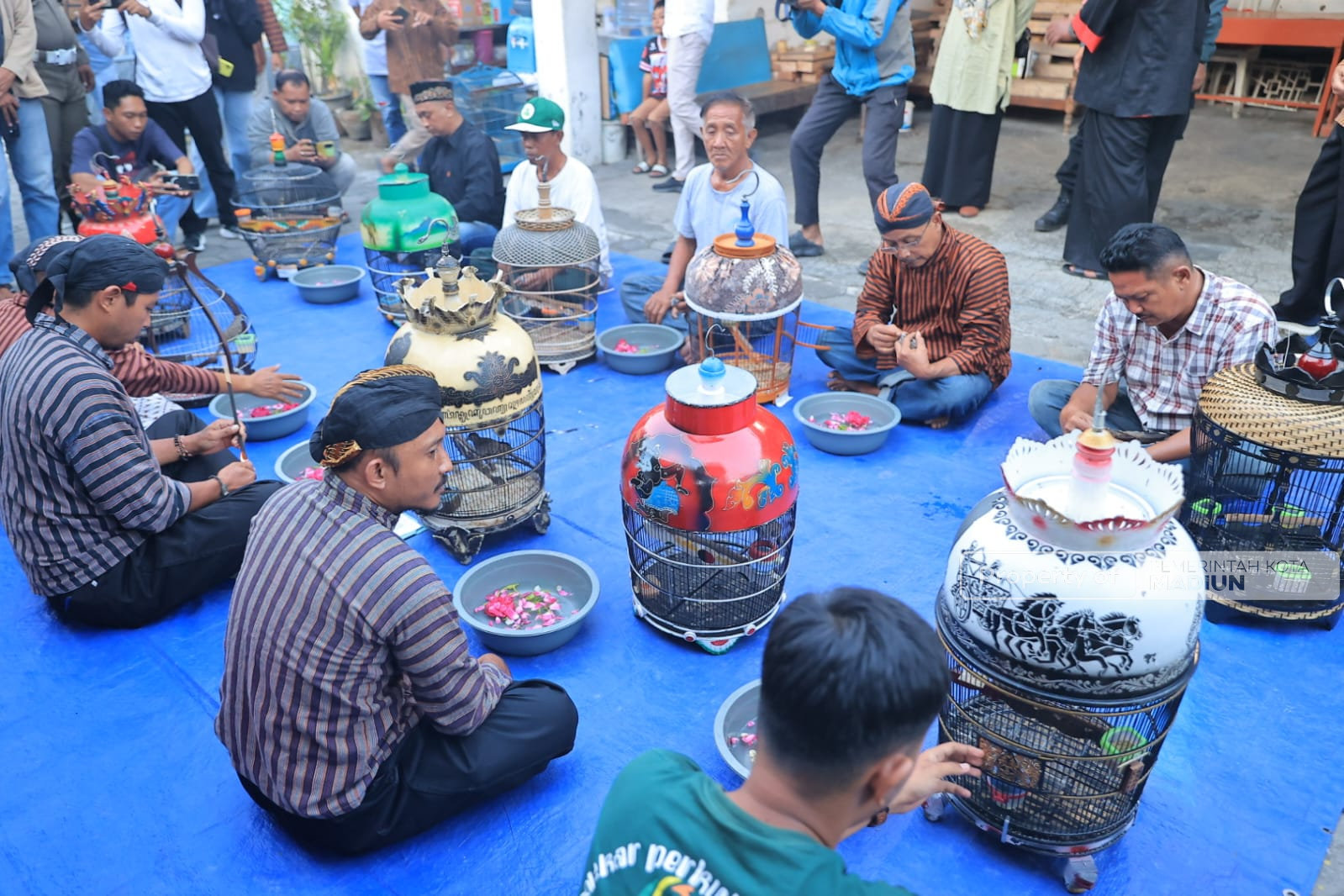 Ada Jamasan Perkutut Katuranggan di Kota Madiun, Plt Wali Kota Lirik Jadi Tradisi Pendongkrak Ekonomi